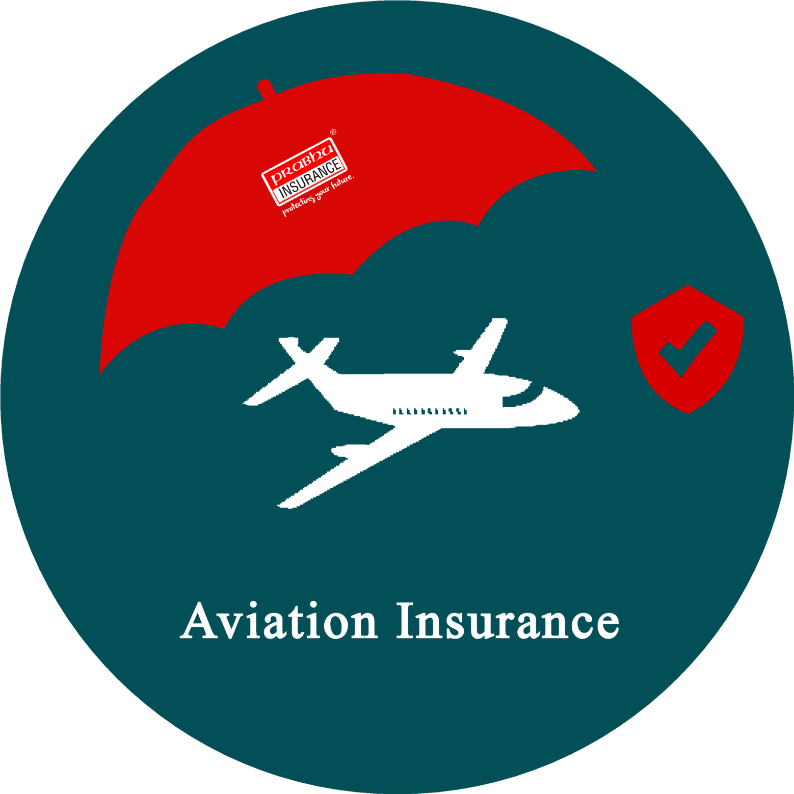 Aviation Insurance